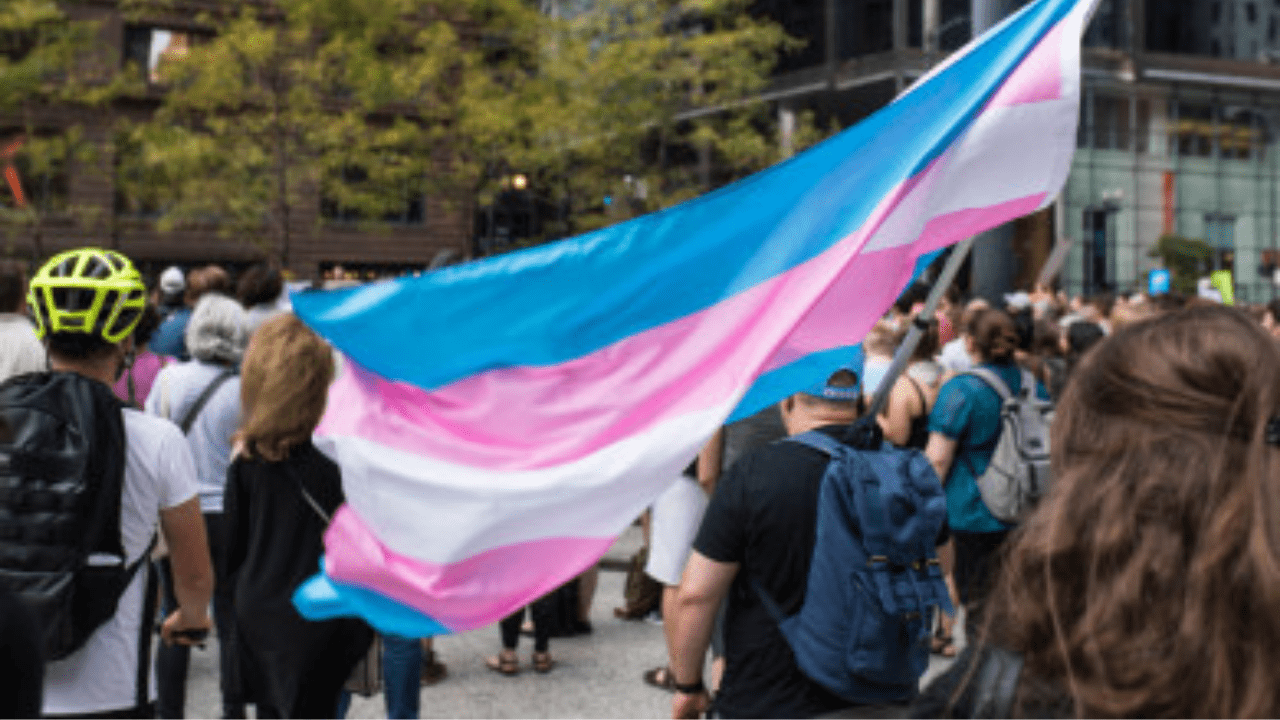 5 Ways to Be a Trans Ally - The Representation Project